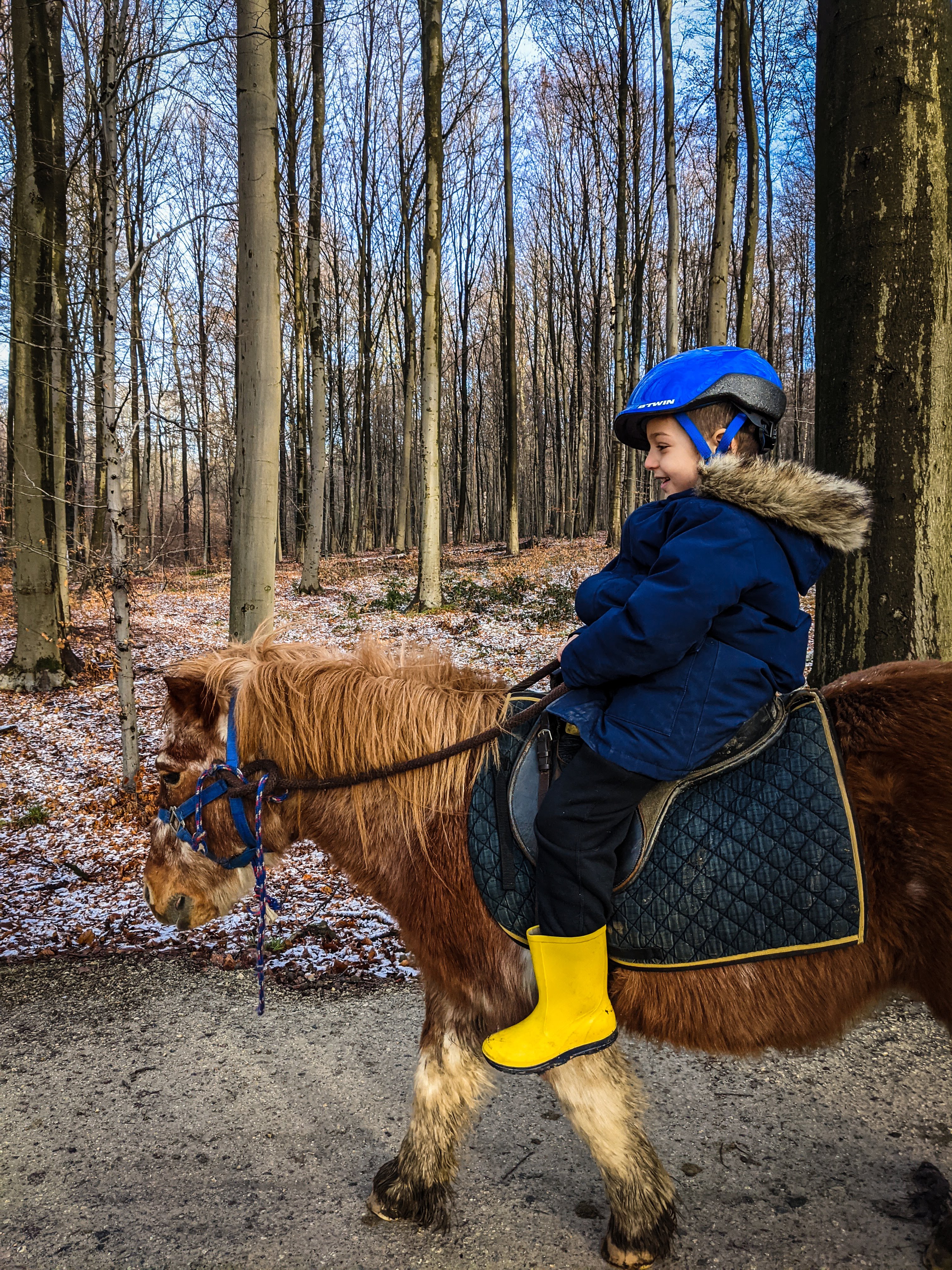 Sonian forest – poney riding