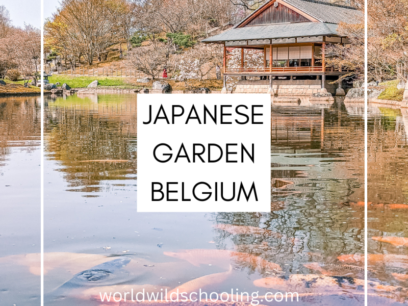 Japanese Garden Hasselt