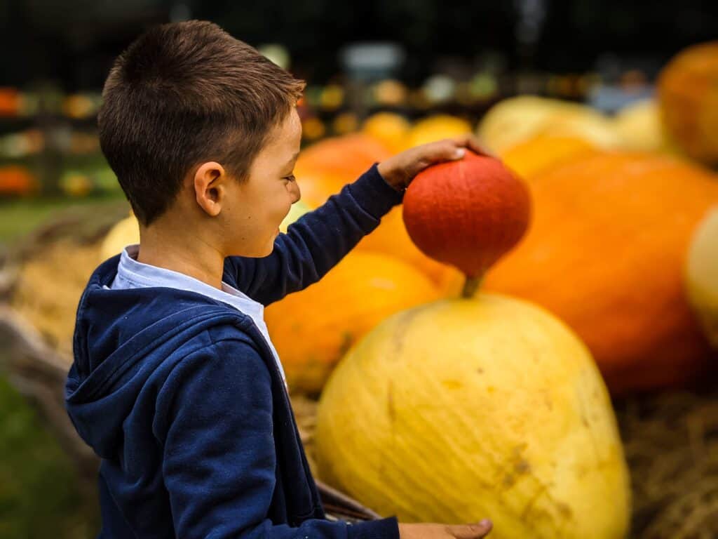 World Wild Schooling - https://worldwildschooling.com La Potironnerie - https://worldwildschooling.com/la-potironnerie/