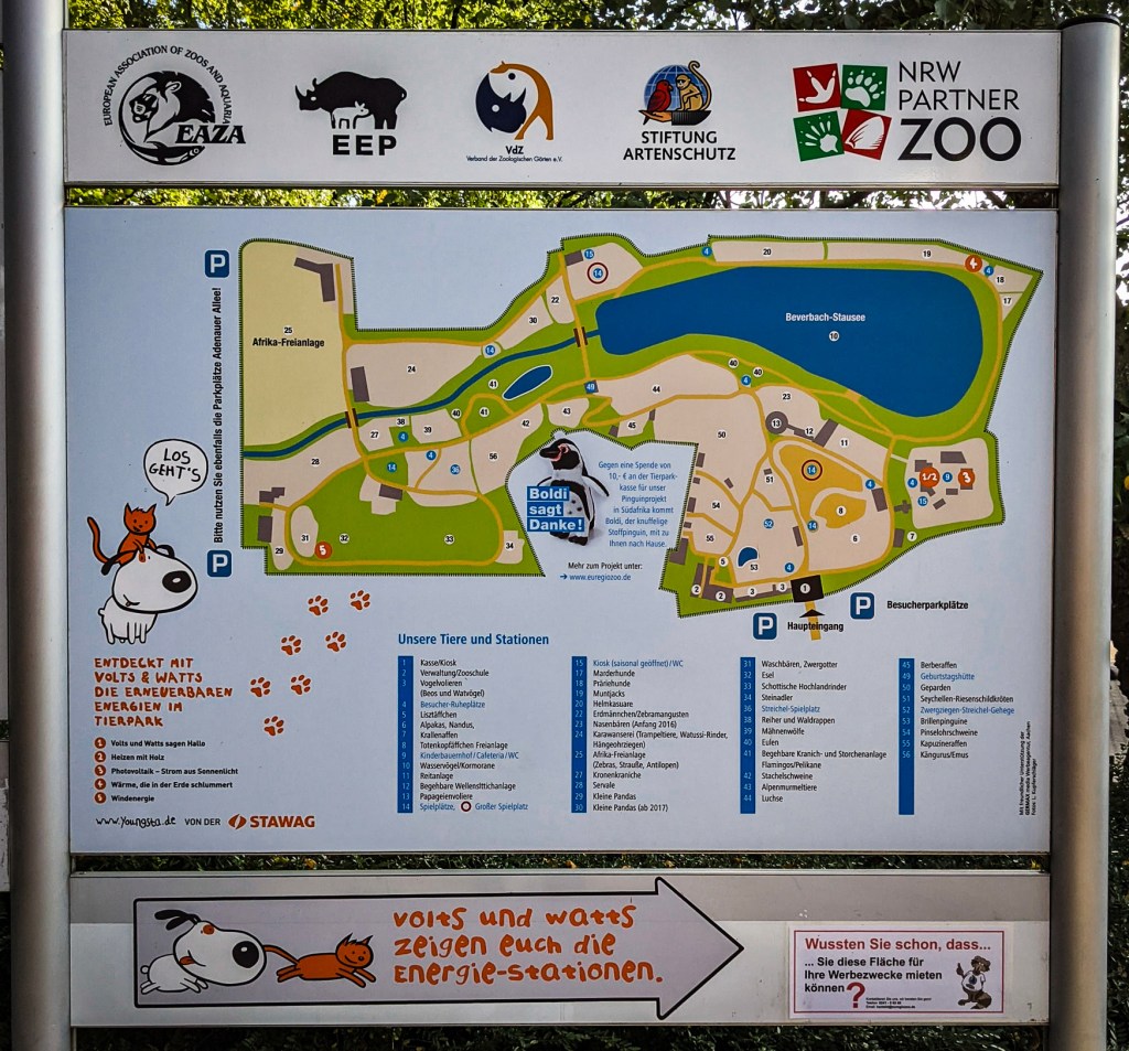 World Wild Schooling - https://worldwildschooling.com Aachen Zoo - https://worldwildschooling.com/aachen-zoo/