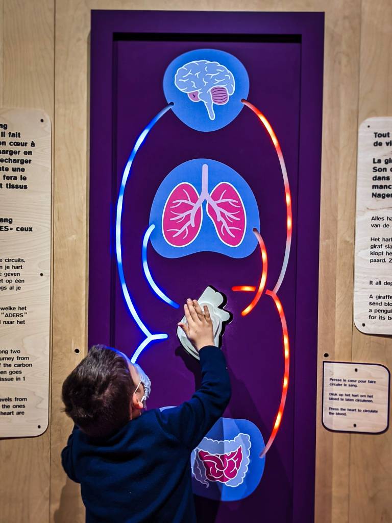 World Wild Schooling - https://worldwildschooling.com Sparkoh (Pass) Science and Technology Museum - https://worldwildschooling.com/pass-science-and-technology-museum/