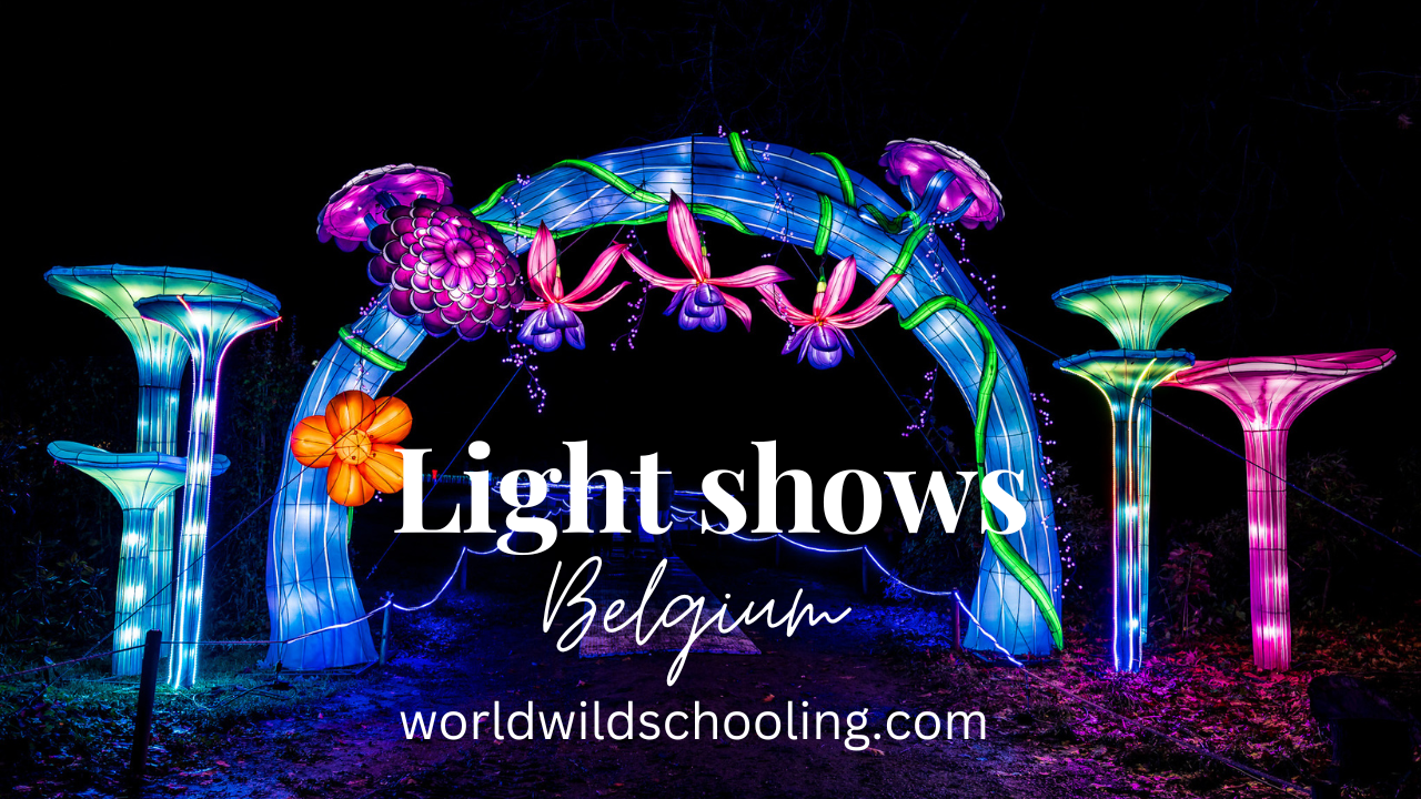 World Wild Schooling - https://worldwildschooling.com Light shows in Belgium - https://worldwildschooling.com/light-shows-in-belgium/