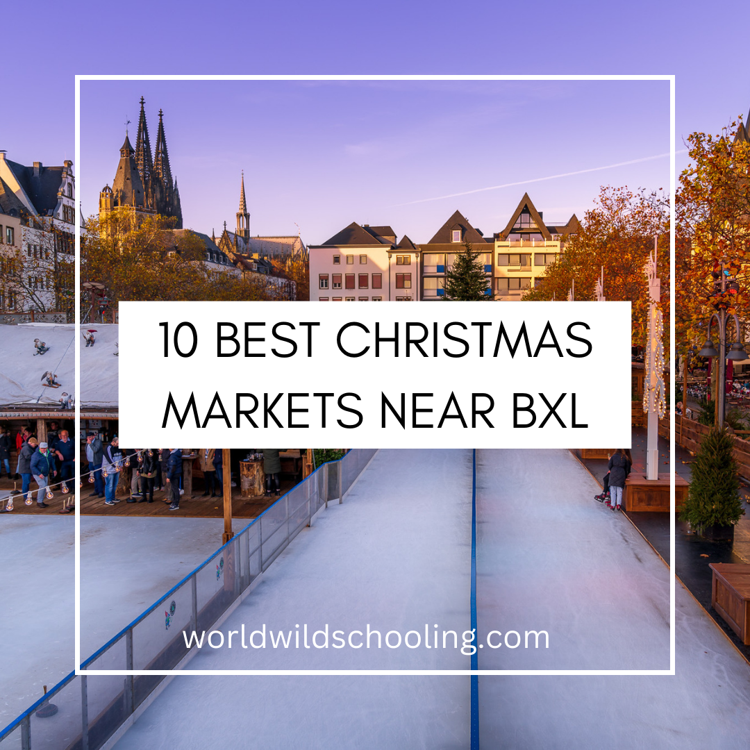 World Wild Schooling - https://worldwildschooling.com 10 Best Christmas Markets near Brussels - https://worldwildschooling.com/10-best-christmas-markets-near-brussels/