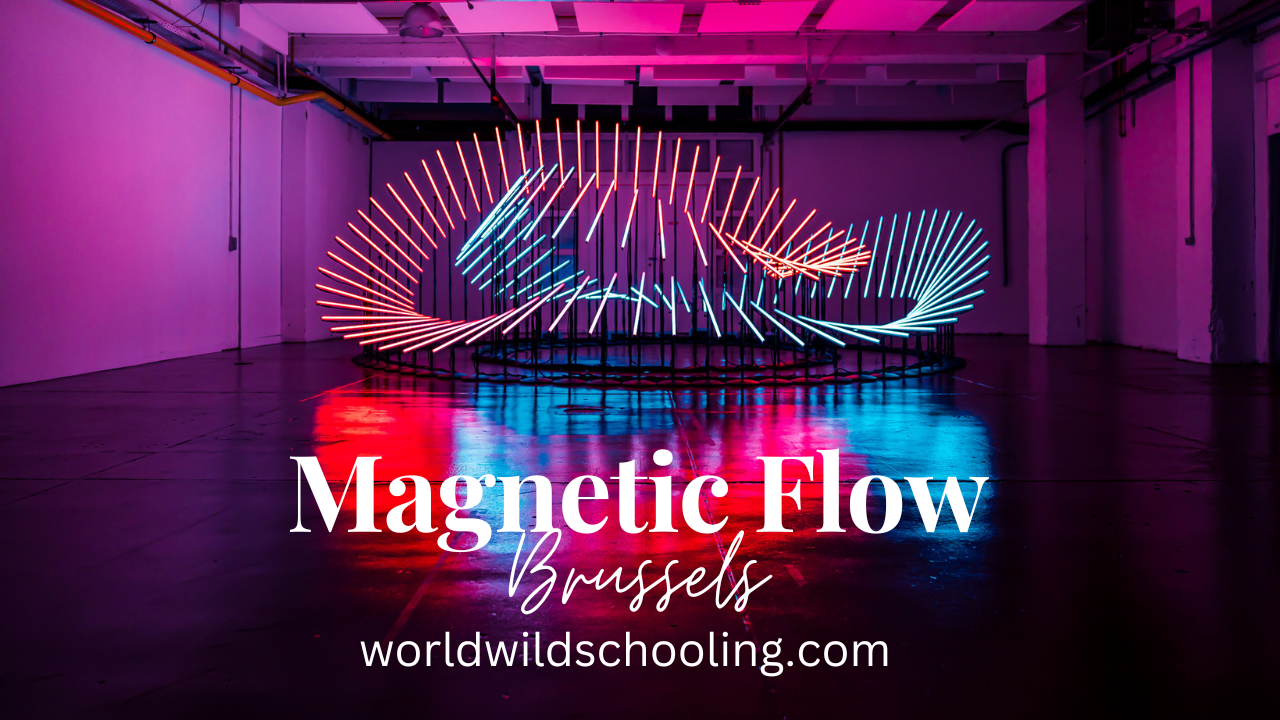 World Wild Schooling - https://worldwildschooling.com Magnetic Flow, Brussels - https://worldwildschooling.com/magnetic-flow-brussels/