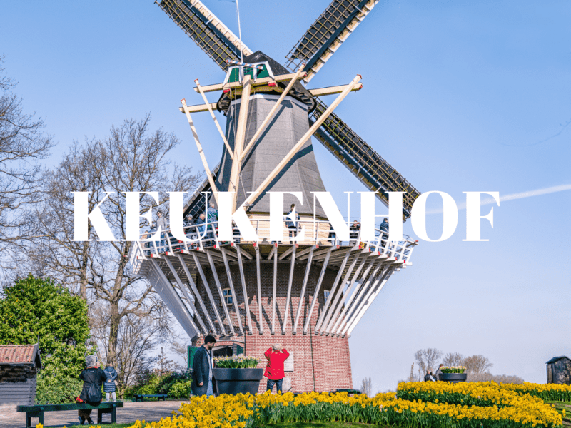 Keukenhof & Lisse Tulip Fields | Best Things to Do | Where to Stay