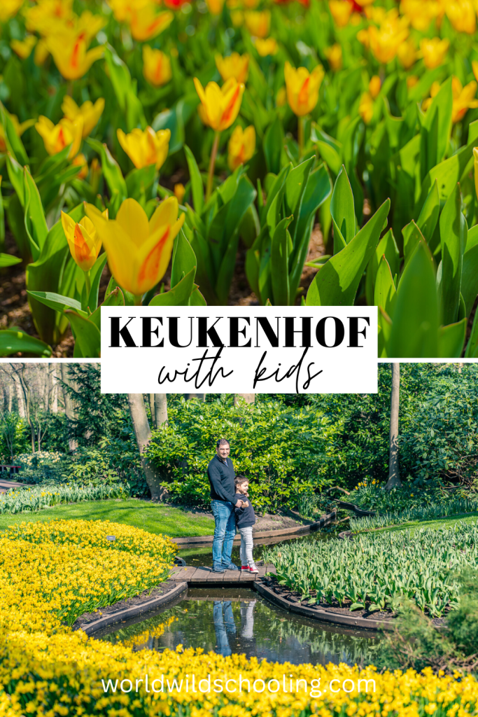 World Wild Schooling - https://worldwildschooling.com Keukenhof & Lisse Tulip Fields | Best Things to Do & Where to Stay - https://worldwildschooling.com/keukenhof/