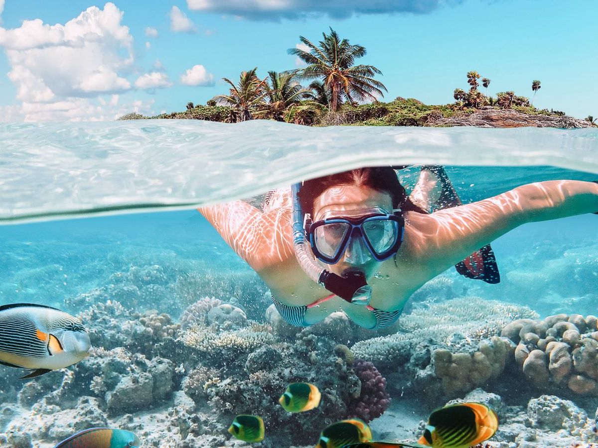12 Colorful Coral Reefs for an Unforgettable Snorkeling Experience