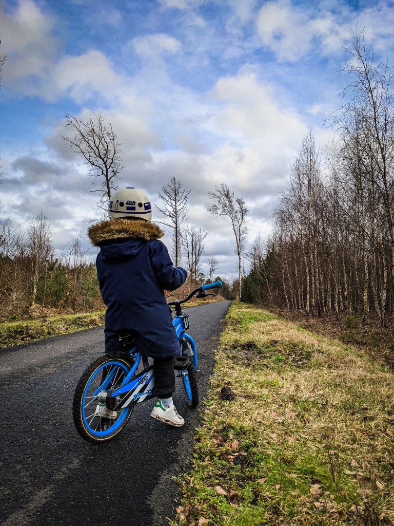 World Wild Schooling - https://worldwildschooling.com Cycling through trees - https://worldwildschooling.com/cycling-through-trees/