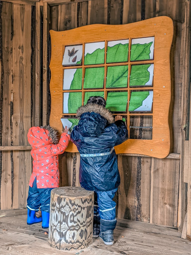 World Wild Schooling - https://worldwildschooling.com Discovering a Forest Wonderland: Parc Chlorophylle - https://worldwildschooling.com/chlorophylle/