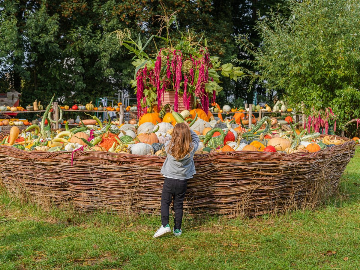 Potironnerie – Pumpkin Festival near Brussels