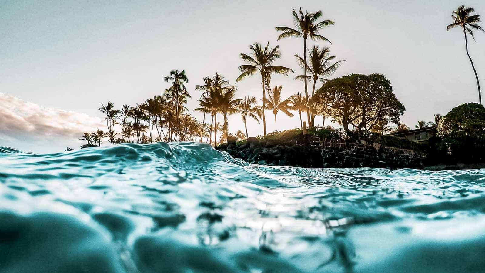 Beautiful Tropical Island Paradise Photo from Swimming In Clear 15 Unmissable Things To Do in Honolulu, Hawaii