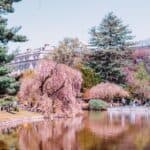American Towns with Stunning Spring Blossoms_Brooklyn, New York_hobaa_AdobeStock_201119377 12 American Towns with Stunning Spring Blossoms