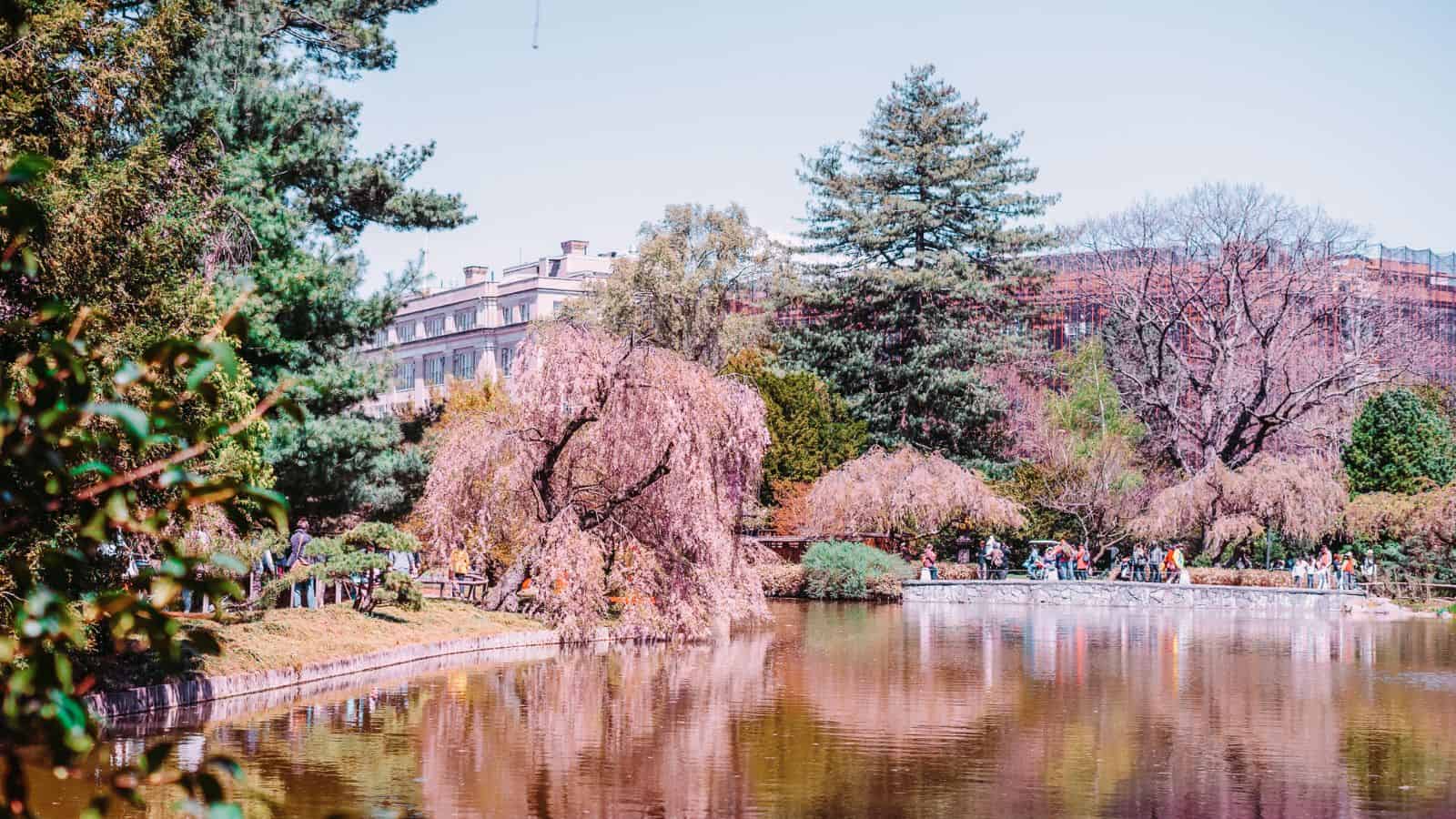 American Towns with Stunning Spring Blossoms_Brooklyn, New York_hobaa_AdobeStock_201119377 12 American Towns with Stunning Spring Blossoms