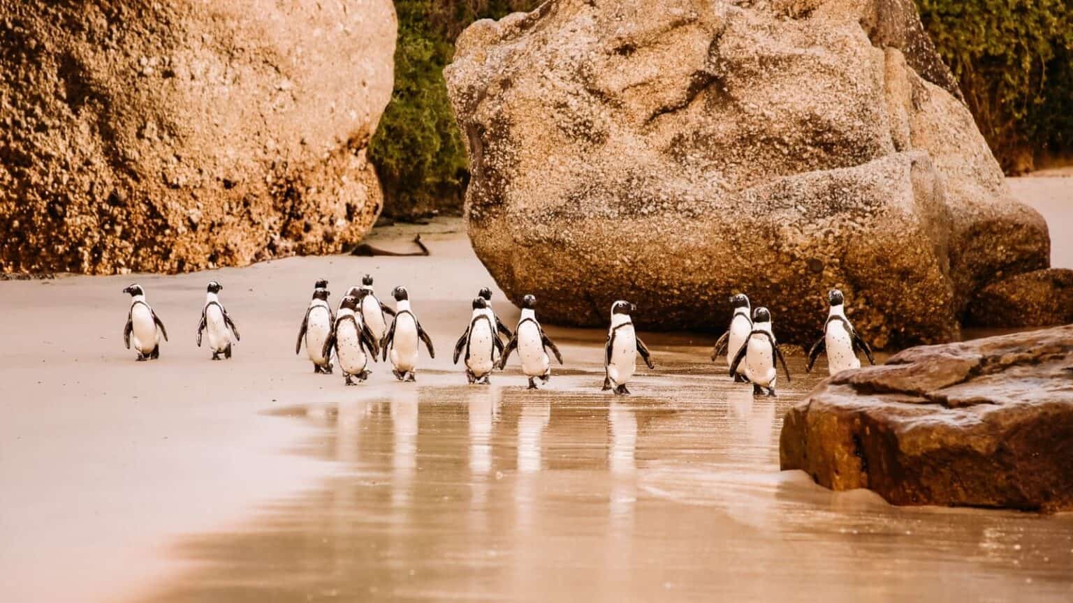 12-wildlife-sanctuaries-around-the-world-offering-unforgettable-animal