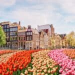 European Cities That Are Perfect for Solo Travelers_Amsterdam, The Netherlands_Olena Zn_AdobeStock_183173328 12 European Cities That Are Perfect for Solo Travelers
