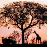 12 Most Beautiful Countries to Explore Around the Globe