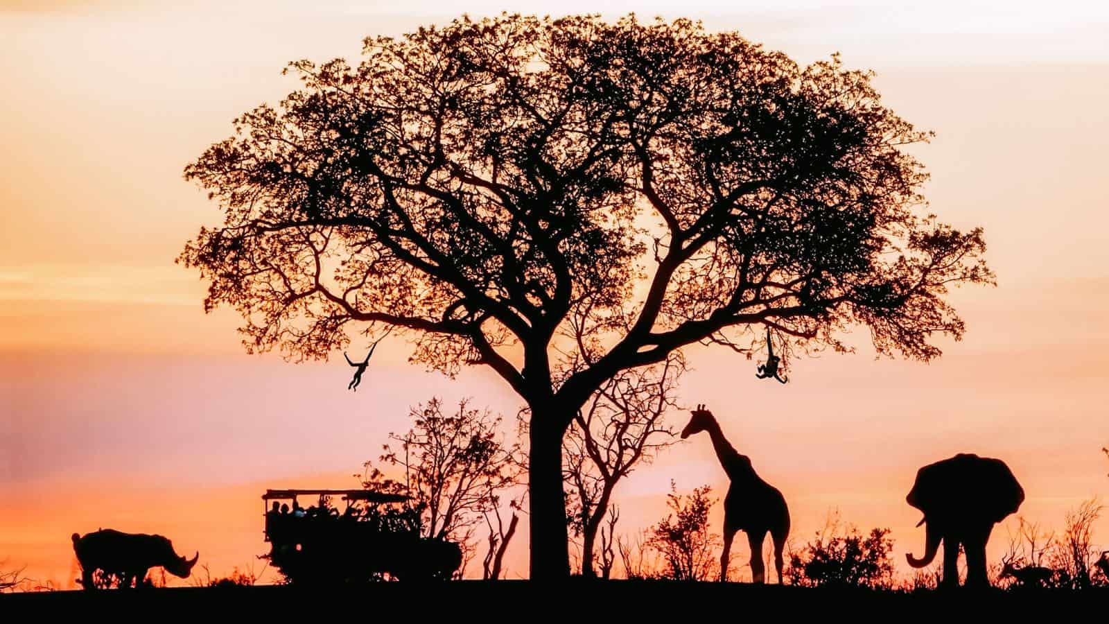 12 Most Beautiful Countries to Explore Around the Globe