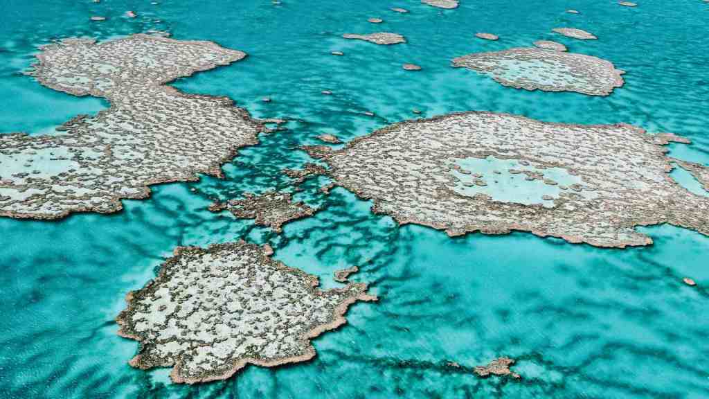 Most Beautiful Places in the World to Add to Your Bucket List Great Barrier Reef,Australia 