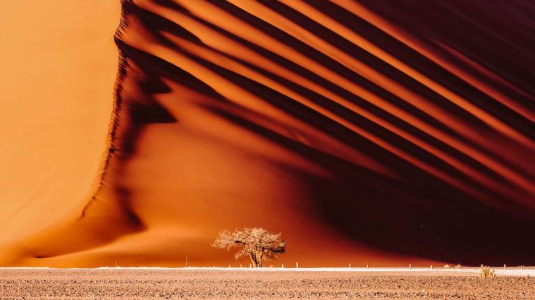12 Extraordinary Desert Landscapes to Explore