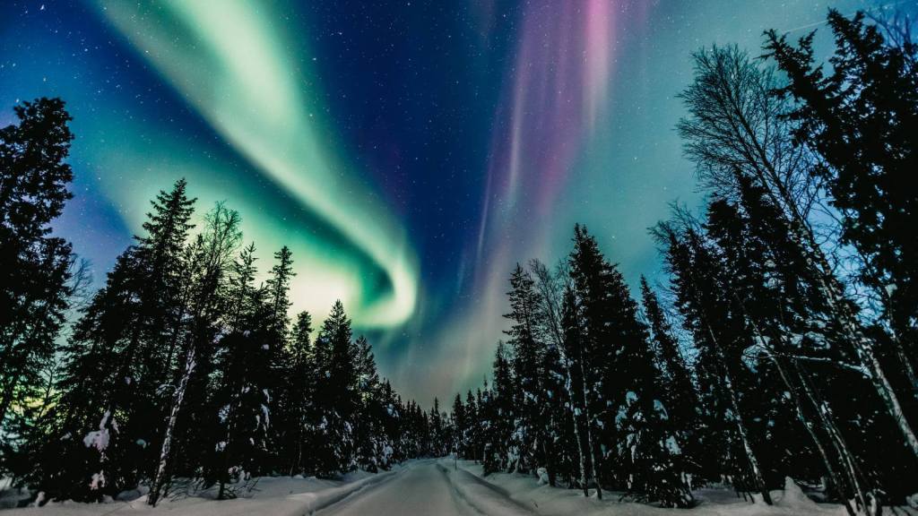 Epic Northern Lights Viewing Spots in the US Cook County, Minnesota