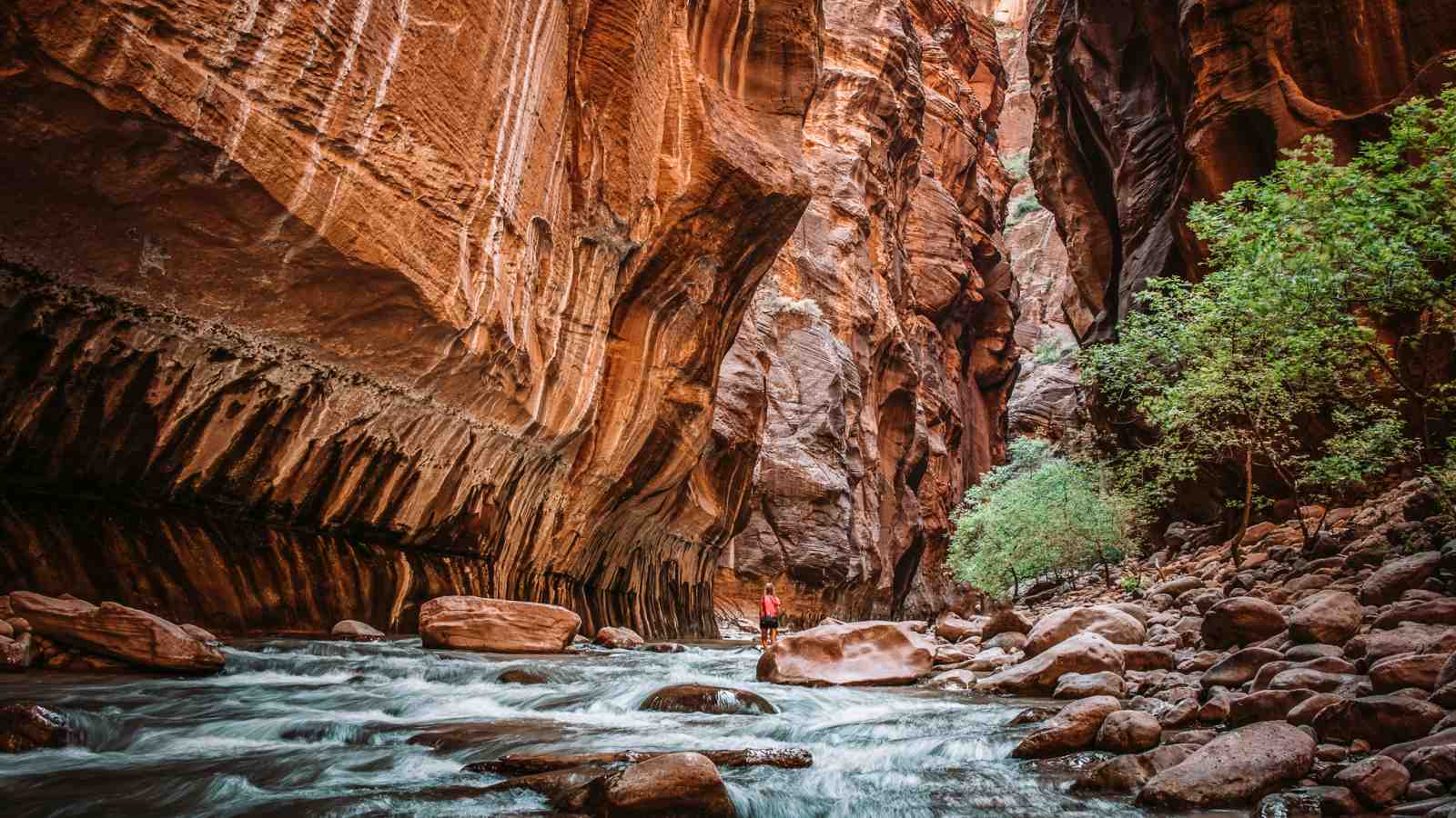 Hiking in The Narrows, Zion National Park, Utah Most Scenic Hikes in the U.S. for Nature Lovers The Narrows, Zion National Park, Utah