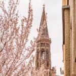 Most Stunning European Cities for Cherry Blossoms Berlin, Germany_© golovianko_Adobe Stock Photo_429270220 12 Most Stunning European Cities for Cherry Blossoms To Visit in Your Lifetime