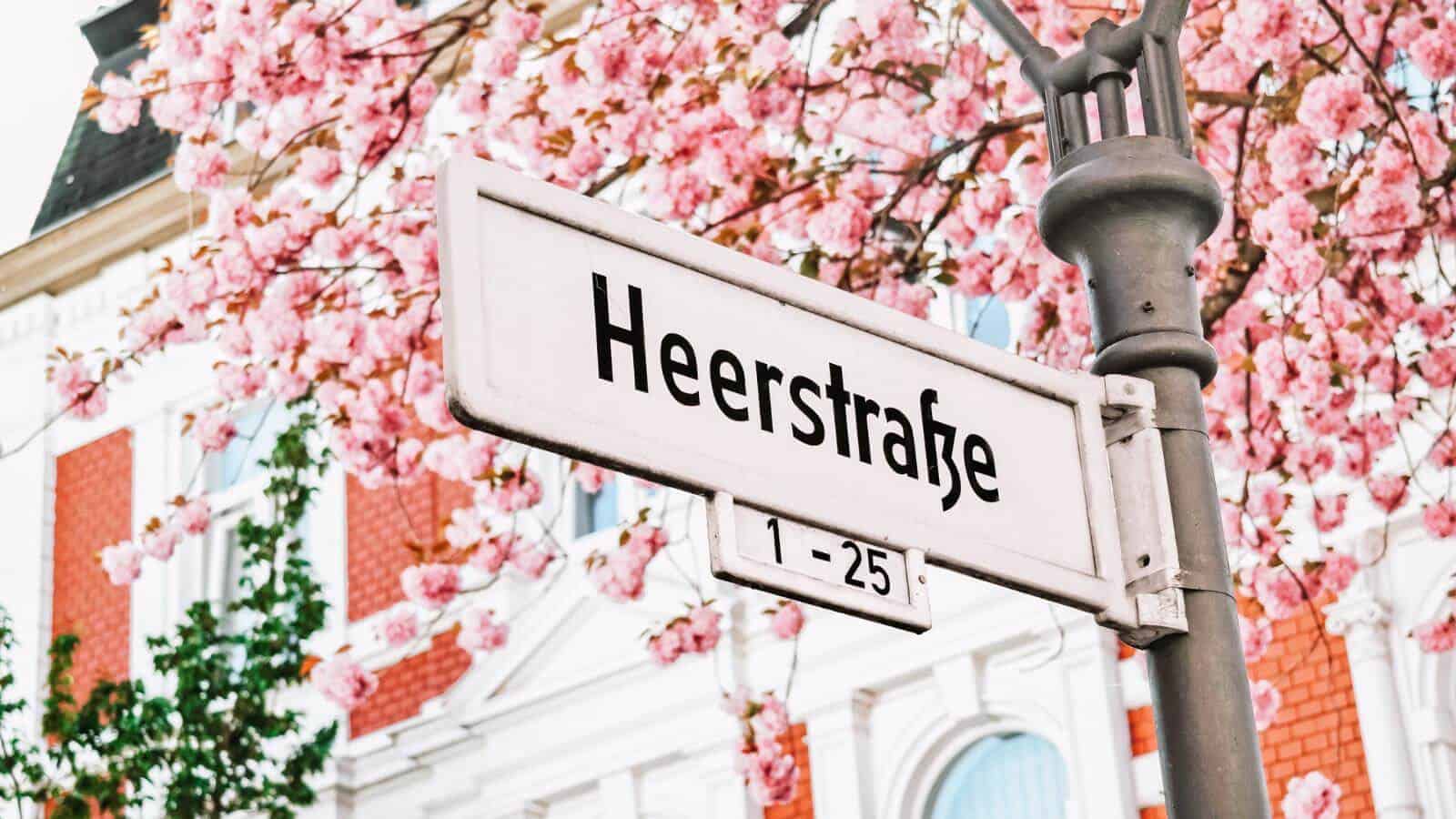 Most Stunning European Cities for Cherry Blossoms Bonn, Germany_© Pixeltheater_Adobe Stock Photo_197689817 12 Most Stunning European Cities for Cherry Blossoms To Visit in Your Lifetime