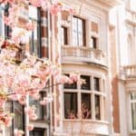Most Stunning European Cities for Cherry Blossoms Brussels, Belgium_finecki_Adobe Stock Photo_339822772 12 Most Stunning European Cities for Cherry Blossoms To Visit in Your Lifetime