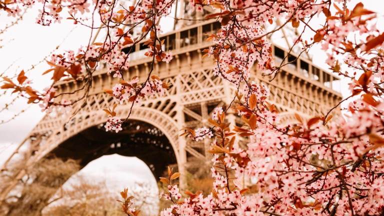 12 Most Stunning European Cities for Cherry Blossoms To Visit in Your Lifetime