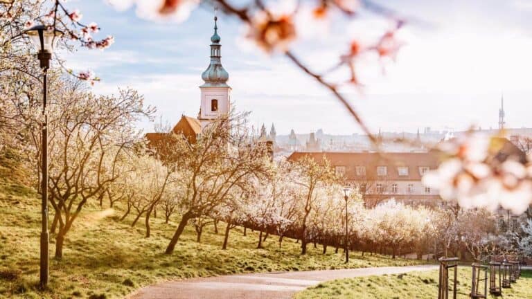 12 Most Stunning European Cities for Cherry Blossoms To Visit in Your Lifetime