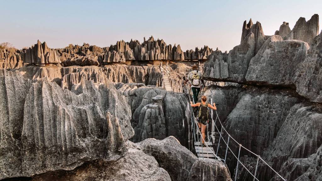 Must-See Natural Phenomena Around the World Forest of Knives, Madagascar