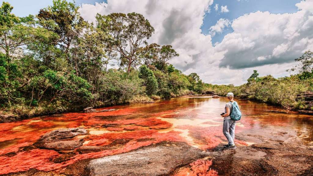 Must-See Natural Phenomena Around the World Caño Cristales, Colombia