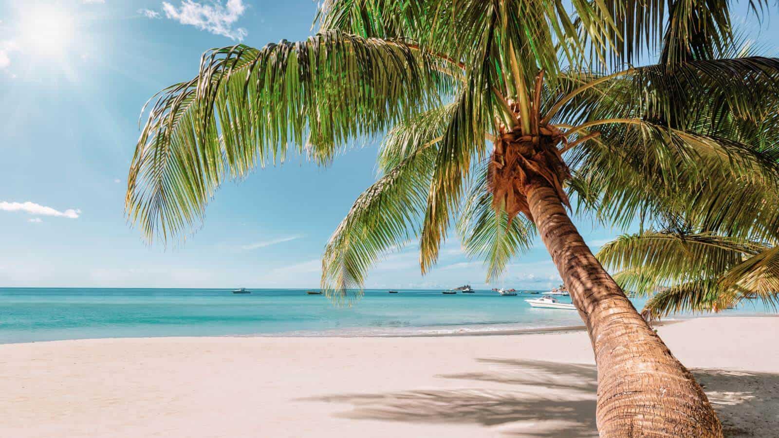 U.S. Islands for a Perfect Beach Holiday Key West Florida_lucky-photo_AdobeStock_408264891 U.S. Islands for a Perfect Beach Holiday Key West Florida
