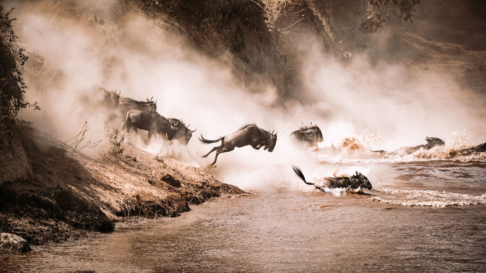 African safari Witness The Great Wildebeest Migration