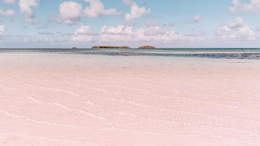 Instagrammable Spots in the Caribbean Pink Sand Beach, Bahamas