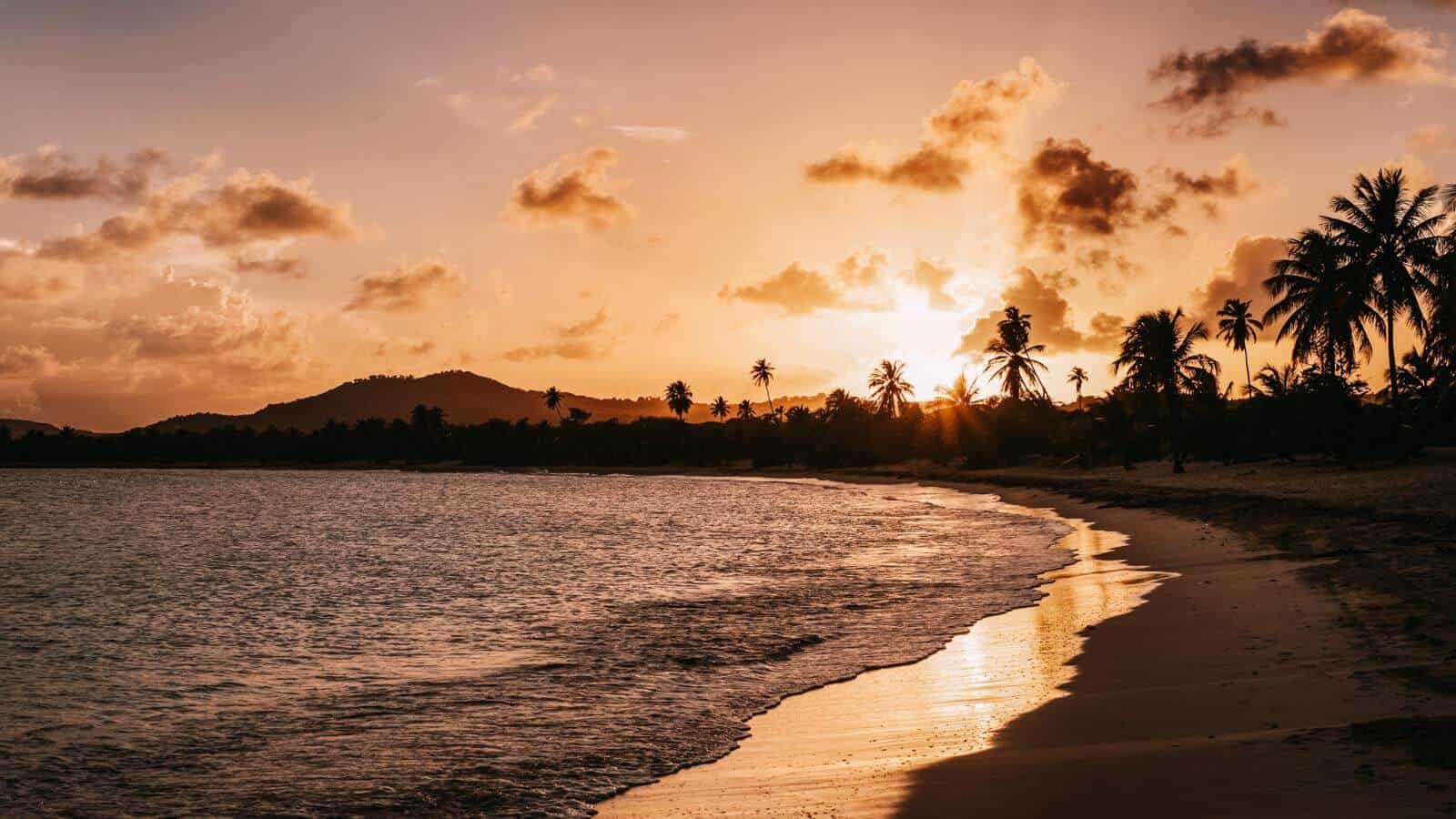 Off-the-Beaten-Path Caribbean Islands Vieques Island, Puerto Rico_© Elena_Adobe Stock Photo_288577365 Off-the-Beaten-Path Caribbean Islands Vieques Island, Puerto Rico