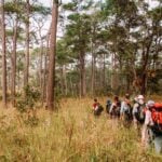 Safaris Beyond Africa Cardamom Mountains Cambodia Keith Kelly Adobe Stock Photo 6018928 150x150 - 12 Adventure-Filled Safaris Beyond Africa