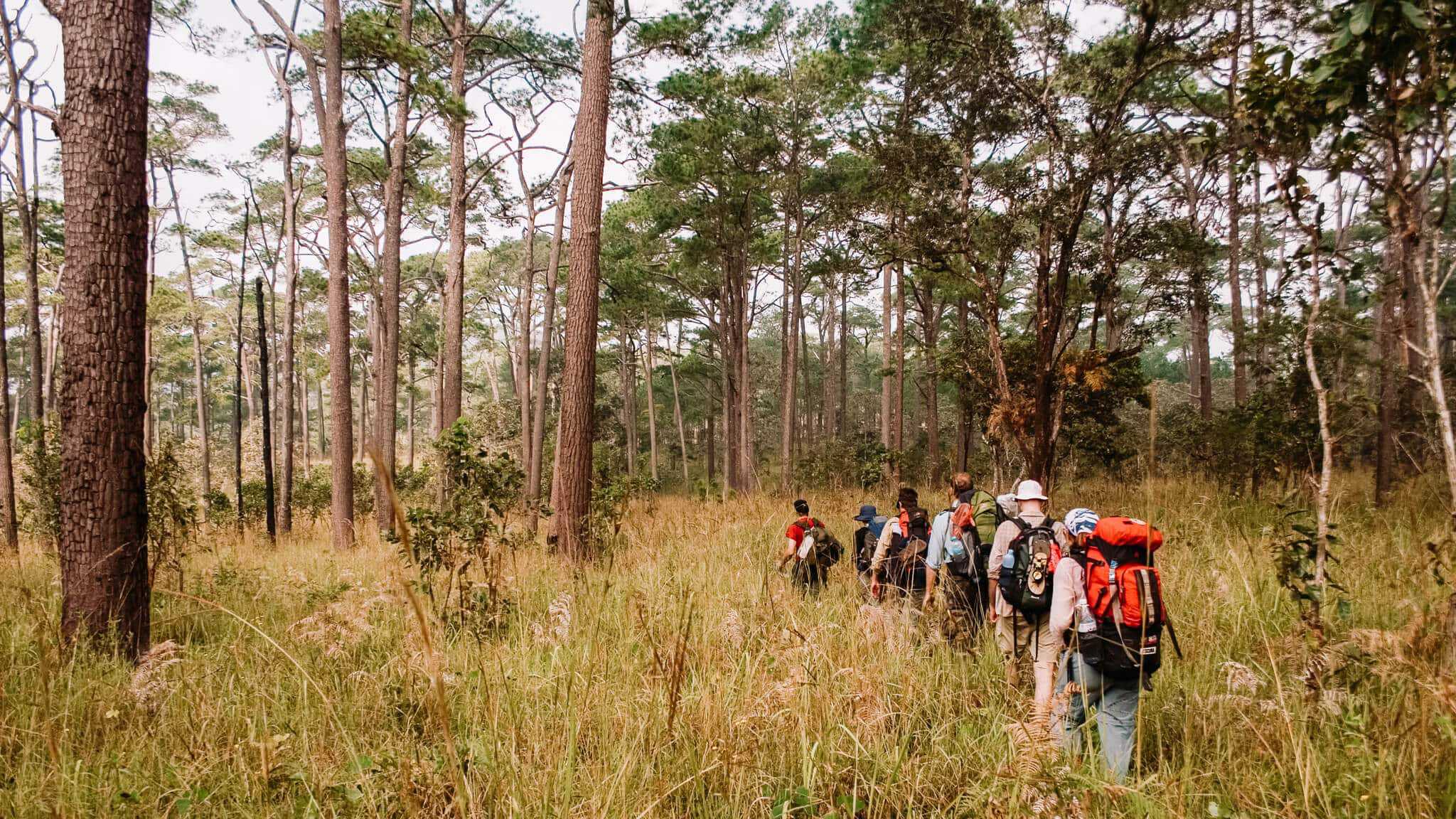 Safaris Beyond Africa Cardamom Mountains Cambodia Keith Kelly Adobe Stock Photo 6018928 - 12 Adventure-Filled Safaris Beyond Africa