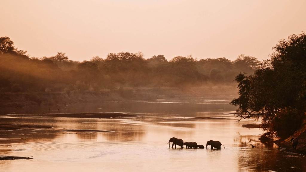 Ultimate Safaris in Africa for Your Bucket List South Luangwa National Park, Zambia