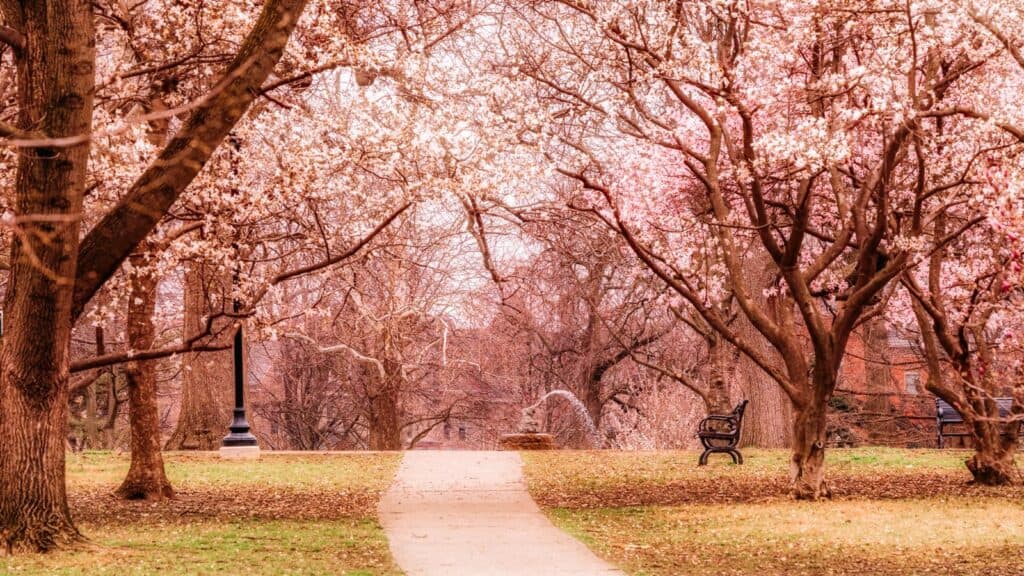 © arthurgphotography / Shutterstock 12 Most Beautiful Neighborhoods in the US You’ll Fall in Love With Victorian Village - Ohio