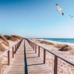 12 Beautiful Beach Destinations in Portugal for Your Next Coastal Getaway Beaches in Portugal Aveiro DaLiu Shutterstock 1557486146 150x150 - 12 Beautiful Beach Destinations in Portugal for Your Next Coastal Getaway