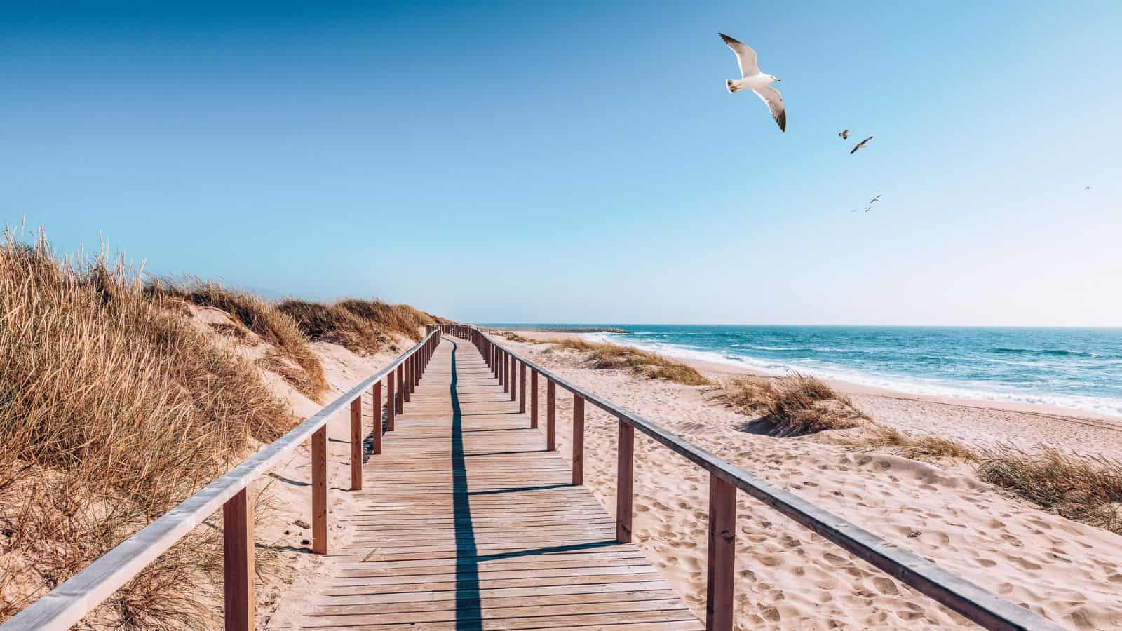 12 Beautiful Beach Destinations in Portugal for Your Next Coastal Getaway Beaches in Portugal Aveiro DaLiu Shutterstock 1557486146 - 12 Beautiful Beach Destinations in Portugal for Your Next Coastal Getaway