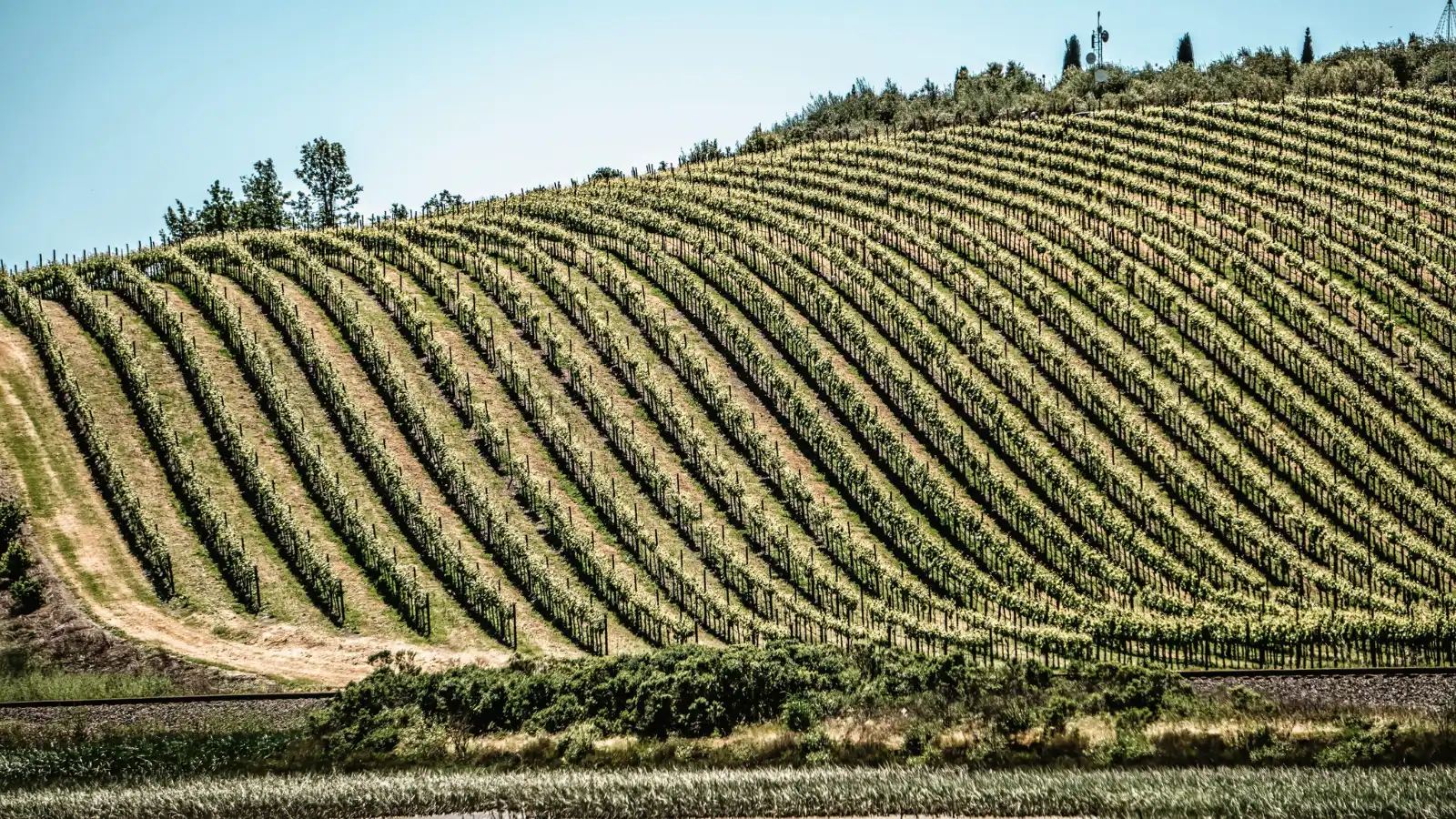 Most Romantic Honeymoon Destinations in the US Napa Valley, California