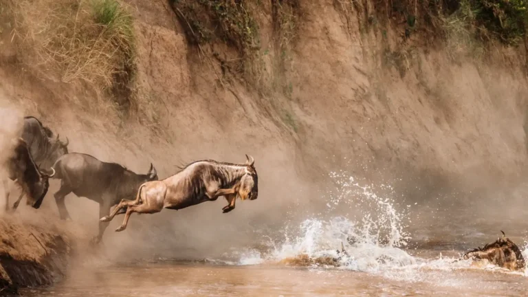 12 Most Beautiful National Parks in Africa for Your Bucket List