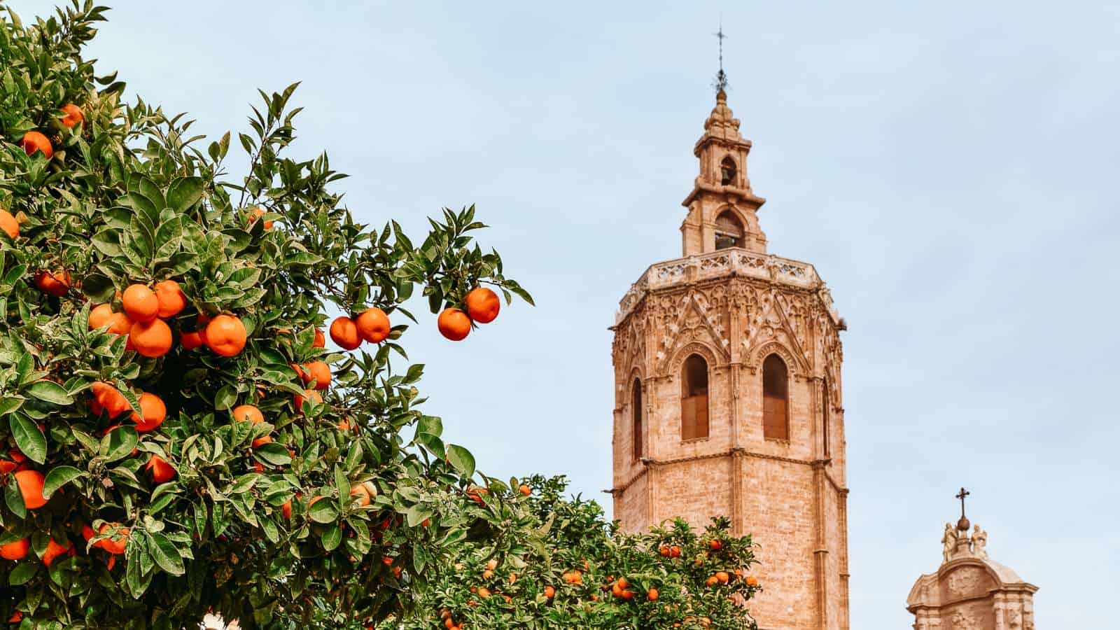 12 Beautiful Places in Europe To Live for Less Than $2,000 Valencia