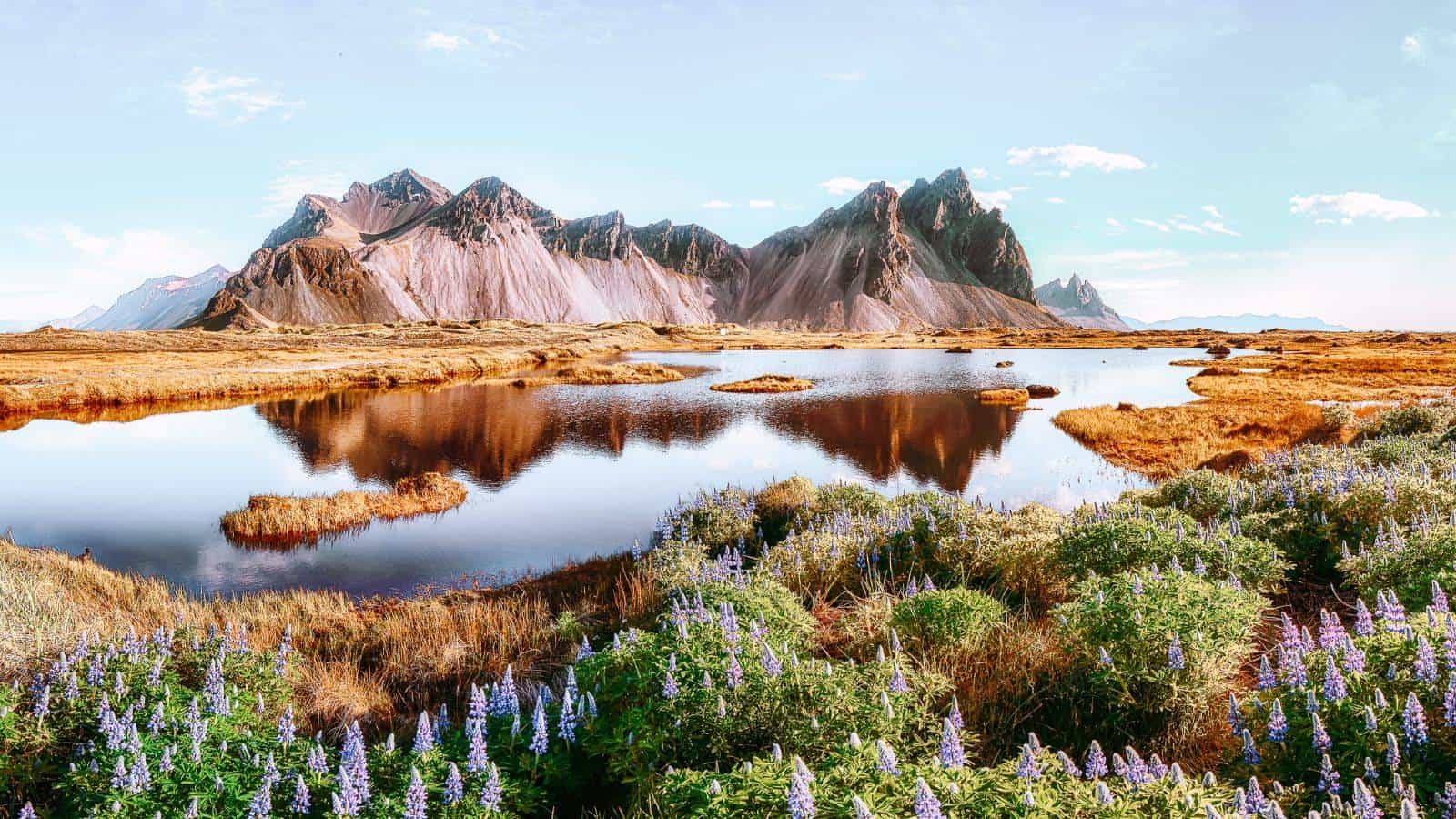 Fun Facts About Europe_There Are No Mosquitoes in Iceland_Stokksnes Cape, Iceland_© Pilat666_Adobe Stock_280357195 Fun Facts About Europe There Are No Mosquitoes in Iceland Stokksnes Cape, Iceland