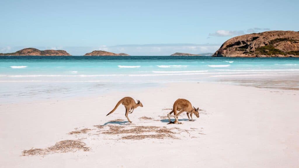 USA Cut From Top 20 World Happiness Report 2024 Australia