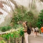 Eco-Friendly Trips To Travel Sustainably Travel To a Sustainable Destination Eco-Friendly Trips To Travel Sustainably Travel To a Sustainable Destination