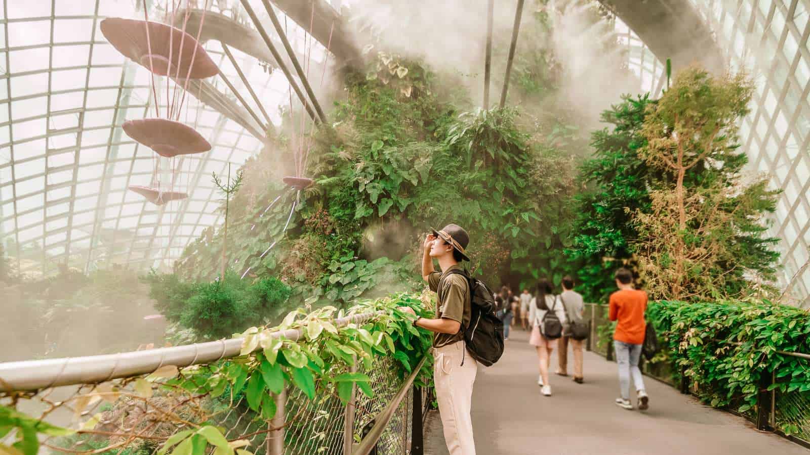Eco-Friendly Trips To Travel Sustainably Travel To a Sustainable Destination Eco-Friendly Trips To Travel Sustainably Travel To a Sustainable Destination
