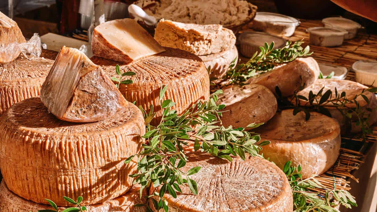 12 Weird Foods To Try in Italy If You're Feeling Adventurous